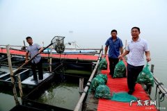 买的螃蟹怎么存放不死,活螃蟹如何保存不死