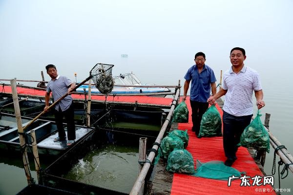 买的螃蟹怎么存放不死,活螃蟹如何保存不死