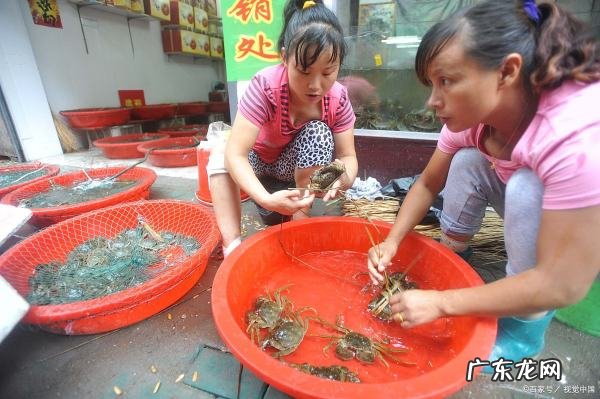 买的螃蟹怎么存放不死,活螃蟹如何保存不死