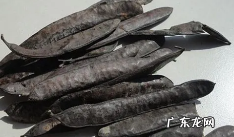 皂角怎么洗头才能有泡沫,皂角怎么弄来洗头有何功效