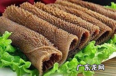 毛肚和千层肚是牛的哪一个部位,食物中毒有什么症状和反应