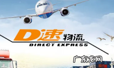 d速是什么快递,d速是什么快递怎么取件