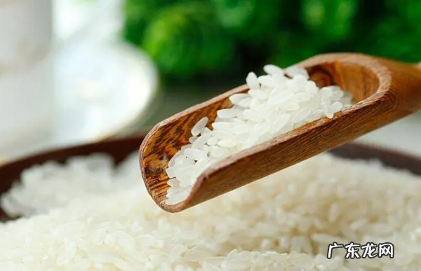 大米里生白色虫子怎么办,大米里生了好多白色的像灰是的虫子是什么
