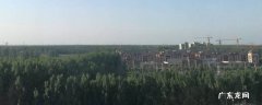 原阳县旅游景点 原阳县景点