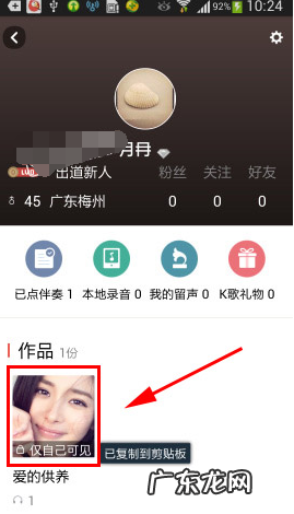 全民k歌私密分享作品什么意思,全民K歌的作品秘密发布是什么意思