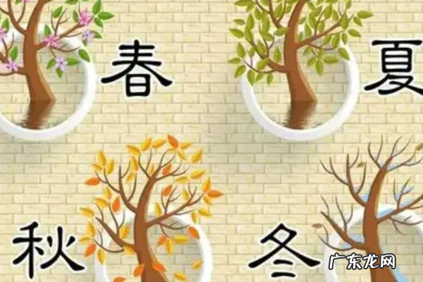 一年中春夏秋冬是怎么划分的,一年四季如何划分的