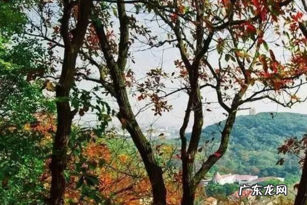上海有哪些山,上海的山有哪些可以爬
