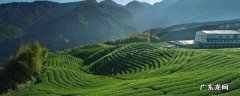 苍梧县景点 苍梧县景点大全