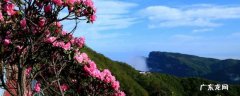 宾县景点图片 宾县景点