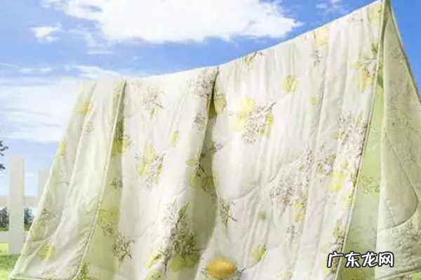 臭虫味道怎么消除,踩了臭虫怎么去味道柠檬