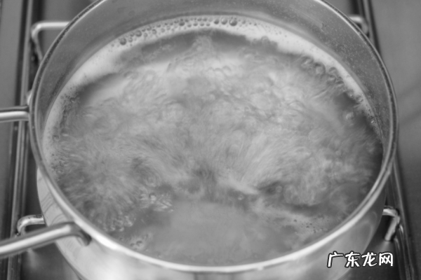 臭虫味道怎么消除,踩了臭虫怎么去味道柠檬