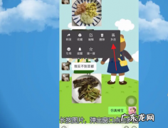 别人发来几张照片如何一次转发,如何批量发微信朋友圈