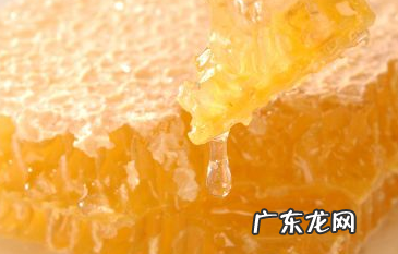 蜂蜜是怎么形成的,蜂蜜是怎么形成的