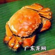 礼盒装的大闸蟹可以放几天,大闸蟹放冰箱里保鲜能存活多久