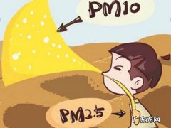 pm10是什么,pm0是指的什么