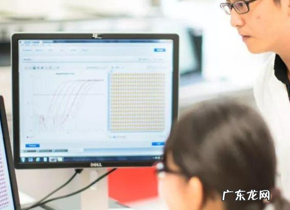 核酸抗体怎么检查,核酸检测是怎么检测