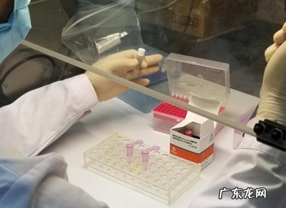 核酸抗体怎么检查,核酸检测是怎么检测