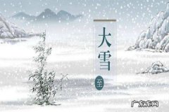 大雪节气特点,大雪节气的天气特点