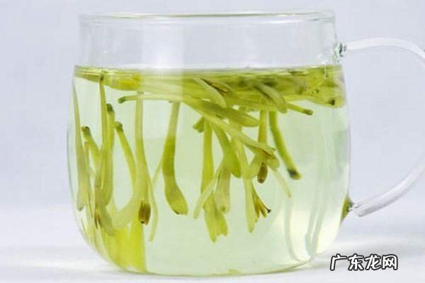 金银花什么人不能喝,金银花泡水喝的好处金银花