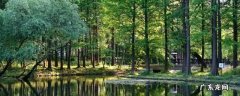 虹口区景点排行榜 虹口区景点