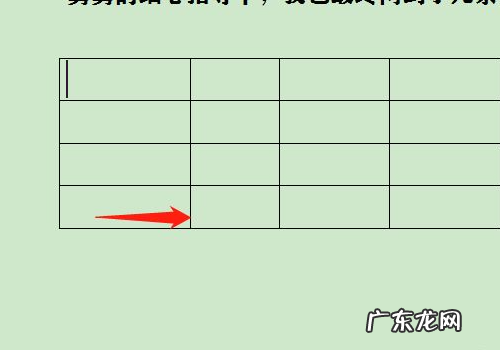 word文档列宽怎么调,word中设置行高和列宽