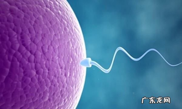 试管婴儿找人代生违法,试管婴儿可以让别人生