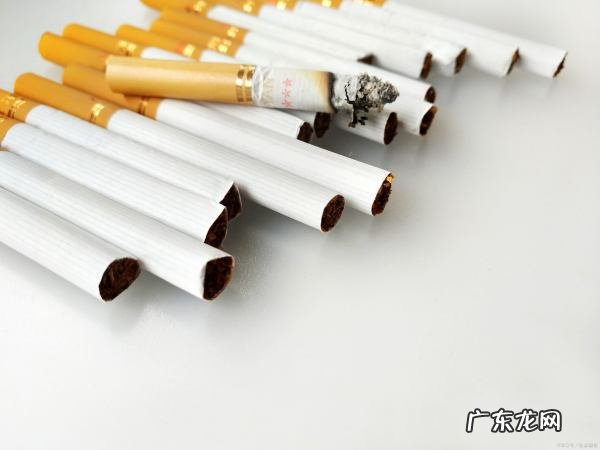 烟放一年还能抽,烟放的时间长还能抽