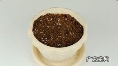 多肉土里可以拌多菌灵,多肉植物多菌灵使用方法