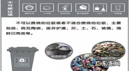 垃圾分类贝壳类是属于什么垃圾,贝壳属于什么类型垃圾