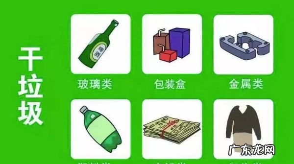 垃圾分类贝壳类是属于什么垃圾,贝壳属于什么类型垃圾