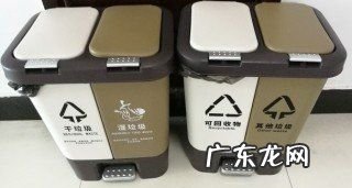 垃圾分类贝壳类是属于什么垃圾,贝壳属于什么类型垃圾