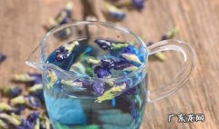碟豆花是什么味道,蝶豆花茶如何选天然的