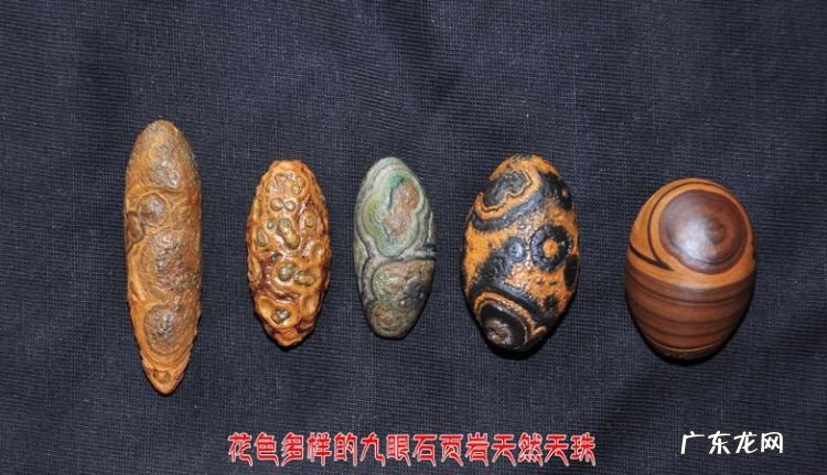 九眼页岩石是什么,九眼石页岩原石可佩戴