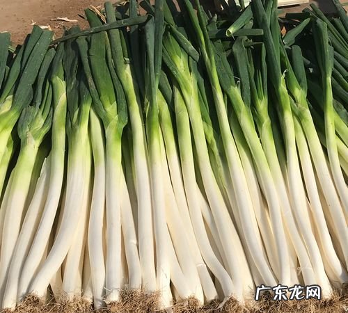 济南章丘特产有哪些,章丘的特产广告语