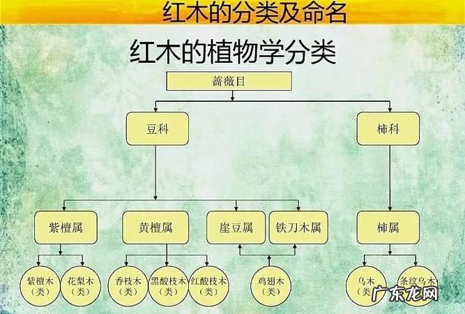 红木五属八类是什么意思,树木类别中国到底有哪几种树属于红木的