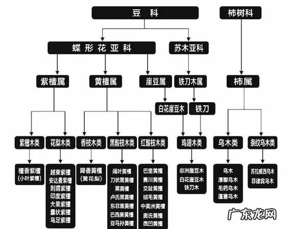 红木五属八类是什么意思,树木类别中国到底有哪几种树属于红木的