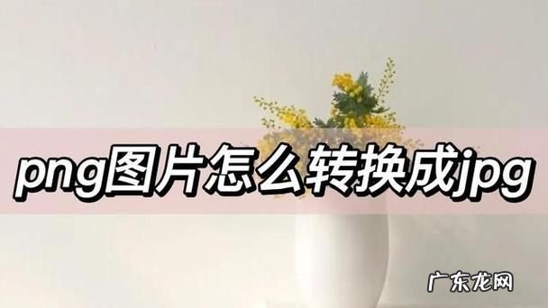 jpeg和png哪一个更清晰,jpg格式和png格式哪个更清晰
