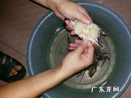 螃蟹白色的膏体能吃,公大闸蟹白色胶状物可以吃