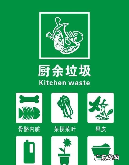 餐厨垃圾与厨余垃圾的区别是什么,厨余垃圾有哪些