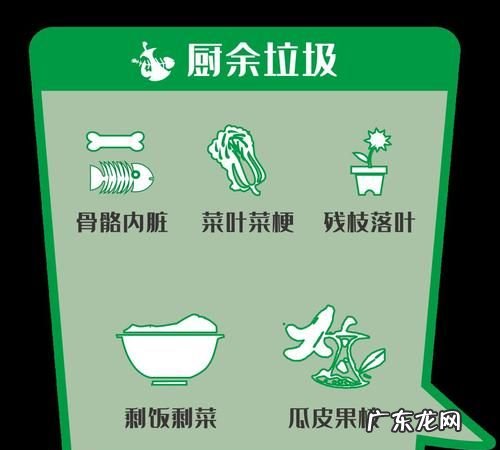 餐厨垃圾与厨余垃圾的区别是什么,厨余垃圾有哪些