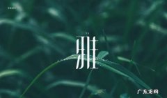 雅人四好指的是什么意思,雅人四好分别是什么意思