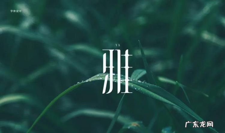 雅人四好指的是什么意思,雅人四好分别是什么意思