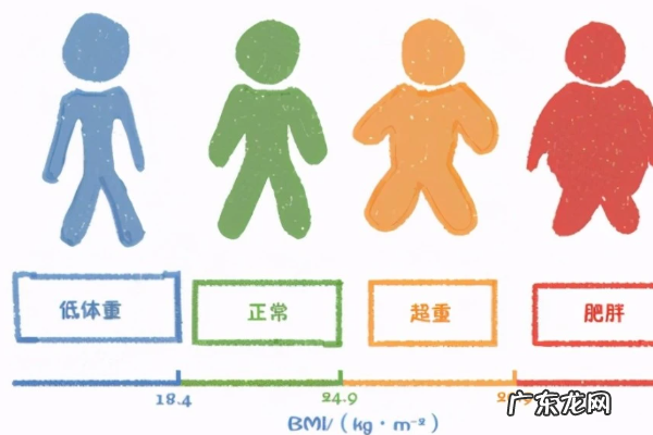 bmi计算公式,BMI计算公式是什么