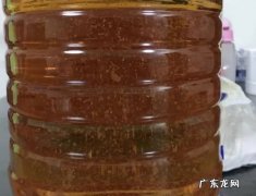花生油放冷藏还是冷冻,花生油放冰箱会凝固变白了