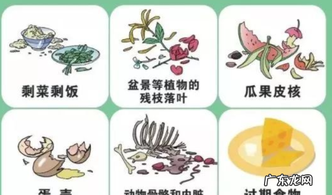 大骨头是什么垃圾,大骨头是什么垃圾