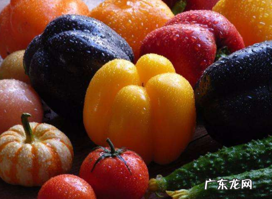 水果胡萝卜是转基因,水果萝卜是转基因的萝卜
