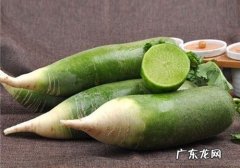 水果胡萝卜是转基因,水果萝卜是转基因的萝卜