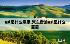 汽车asl是什么意思,汽车上显示asl是什么意思