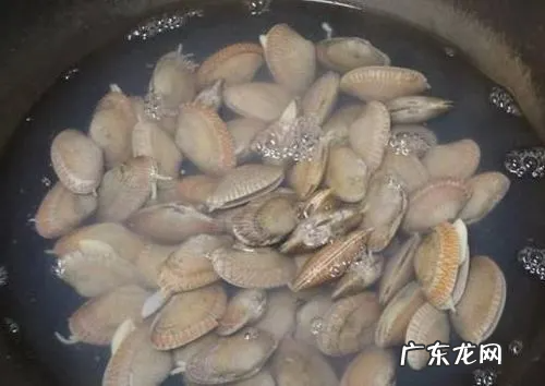 花甲死了还可以张口,花甲死了还能吃不