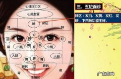 五脏六腑对应的五官是什么,五脏六腑七窍指的是什么